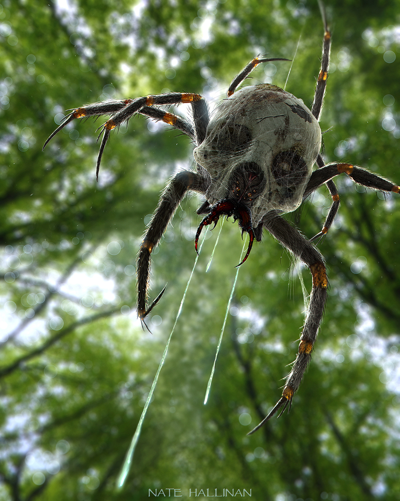 Illustration for article titled If Enemies From Zelda Were Real